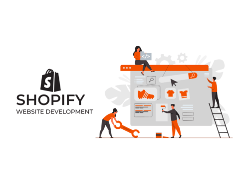 Professional Shopify Store and Dropshipping E-commerce Development Service