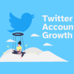 Twitter Account Growth