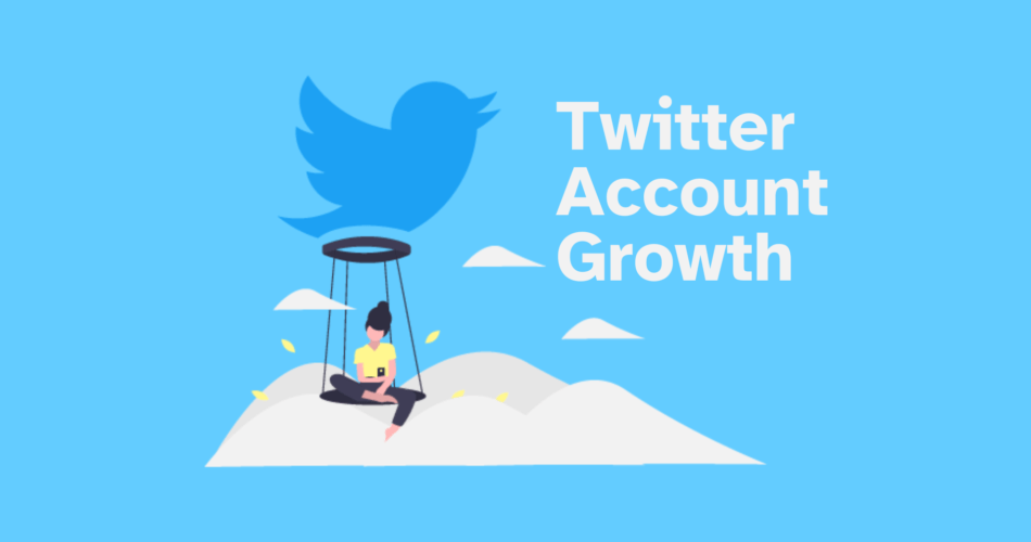 Twitter Account Growth