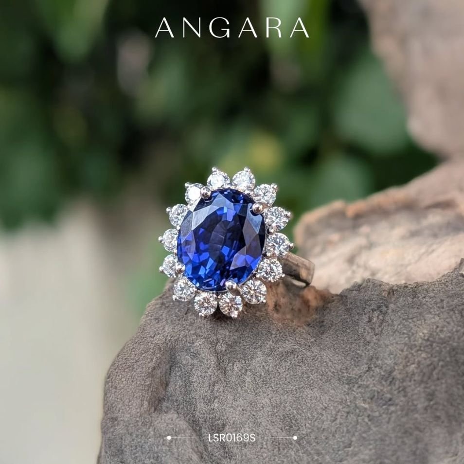 Angara Portfolio Image
