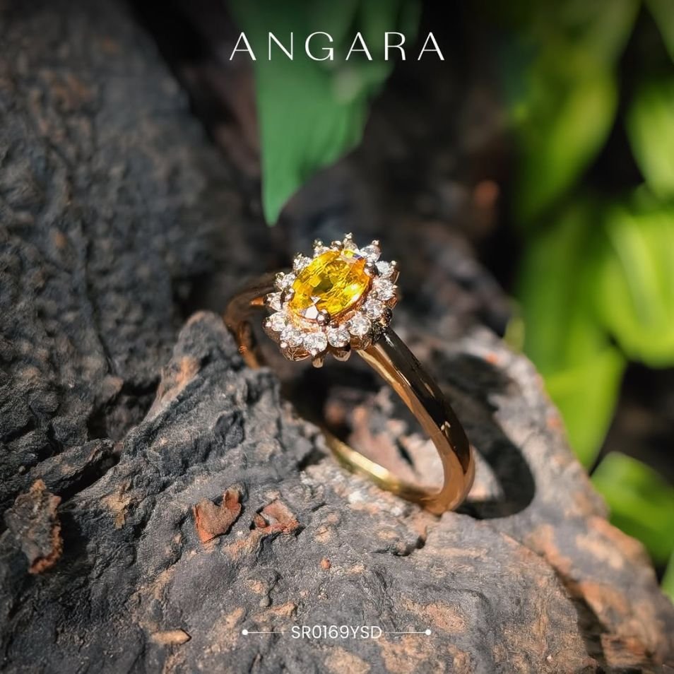 Angara Portfolio Image