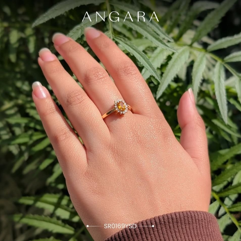 Angara Portfolio Image
