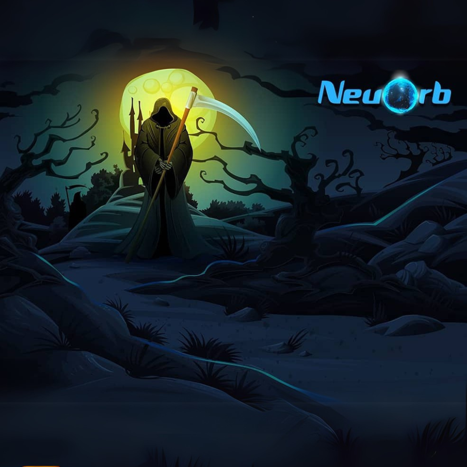 Neuorb portfolio image
