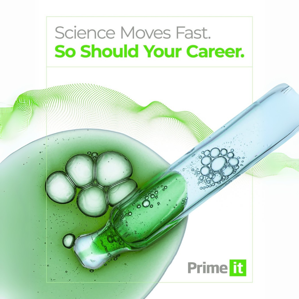 Prime it portfolio image