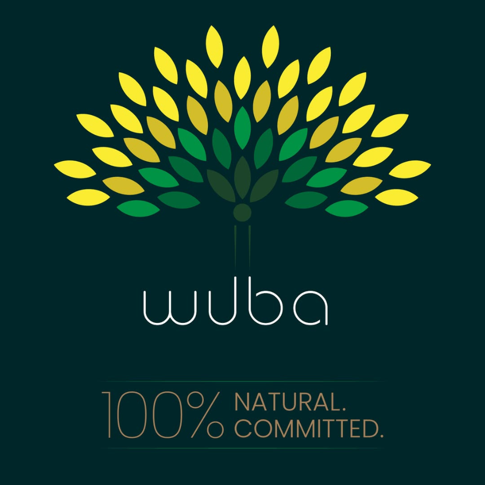 wuba portfolio image