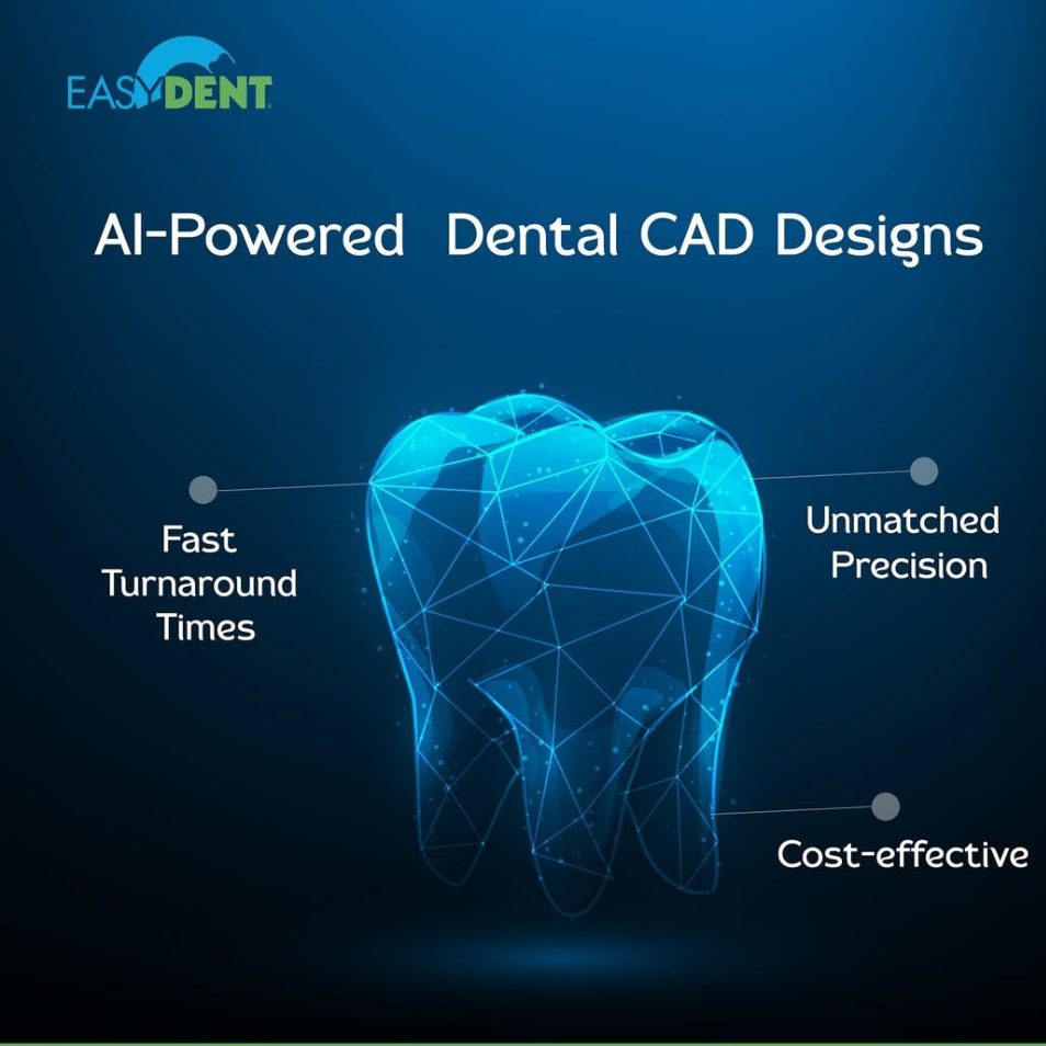 easydent portfolio image